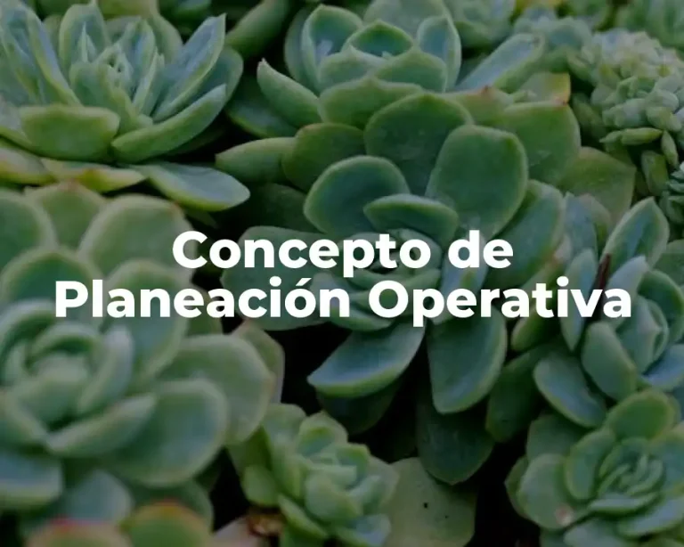 Concepto de Planeación Operativa