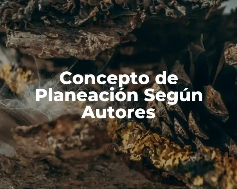 Concepto de Planeación Según Autores