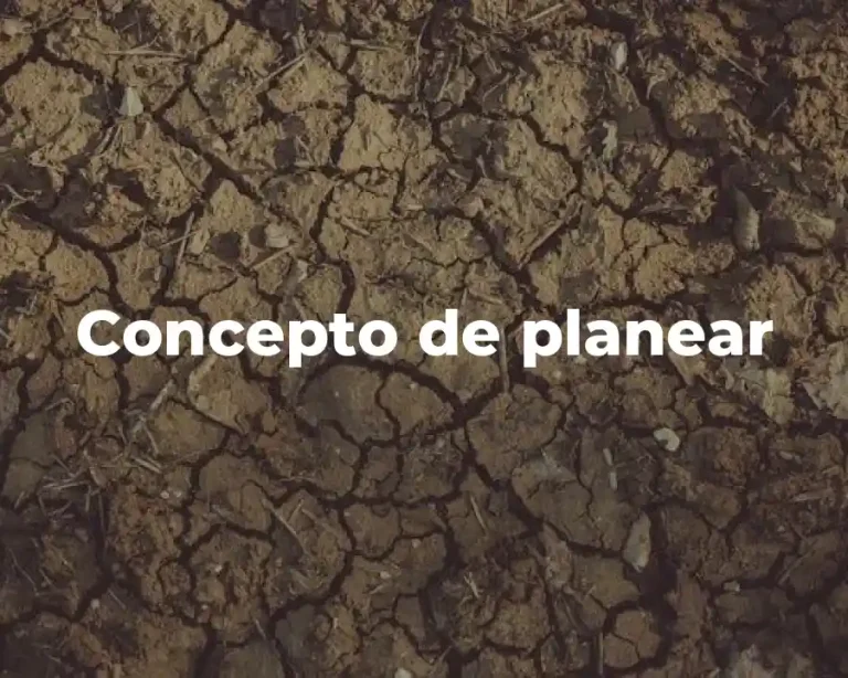 Concepto de planear