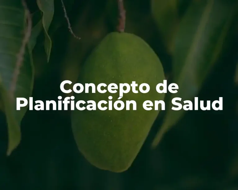 Concepto de Planificación en Salud