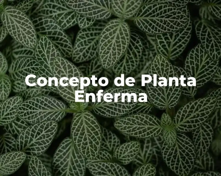 Concepto de Planta Enferma