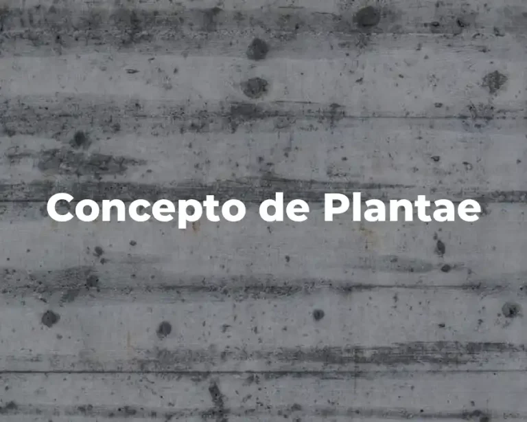 Concepto de Plantae