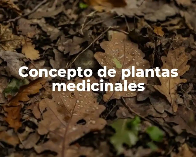 Concepto de plantas medicinales