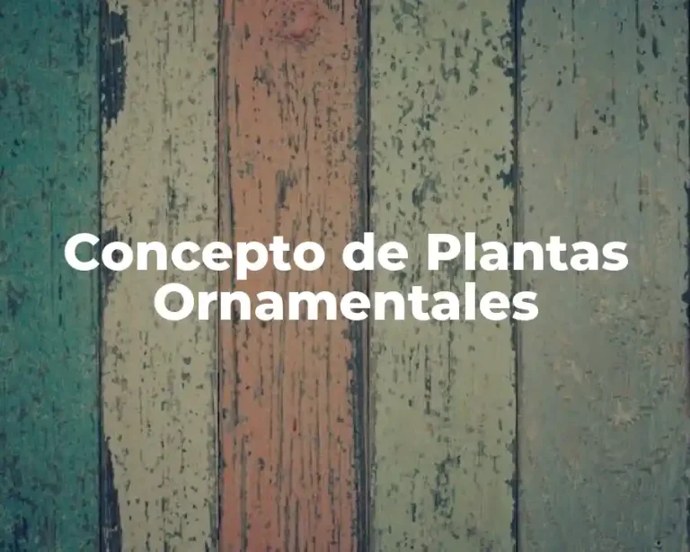 Concepto de Plantas Ornamentales