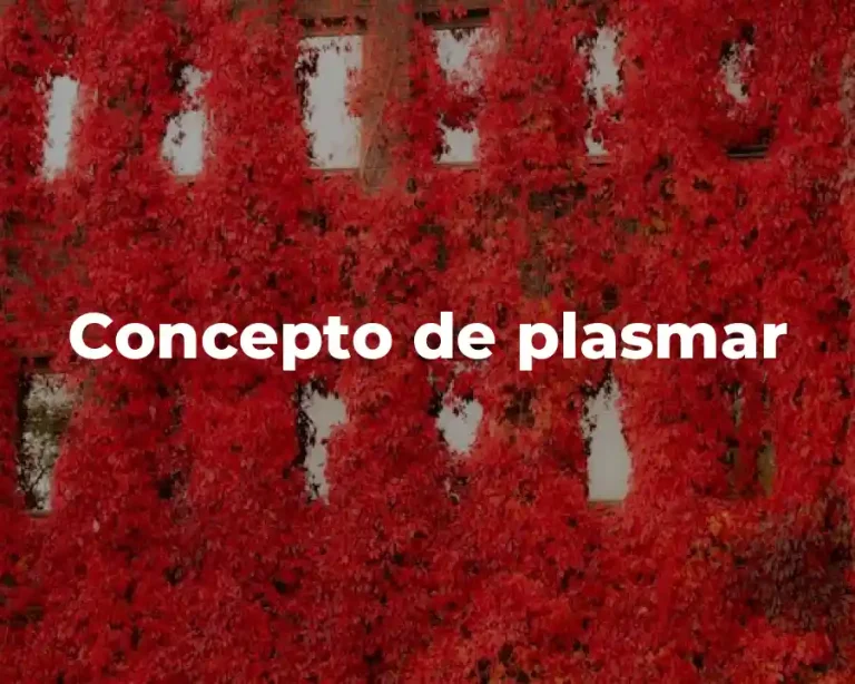 Concepto de plasmar
