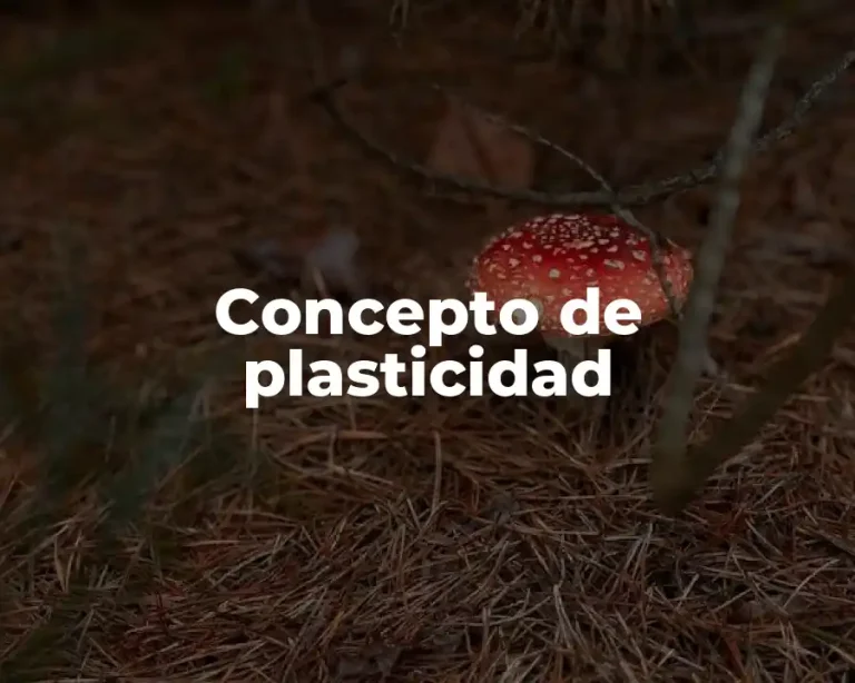 Concepto de plasticidad