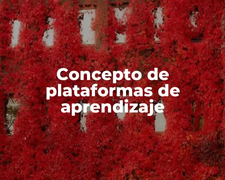 Concepto de plataformas de aprendizaje