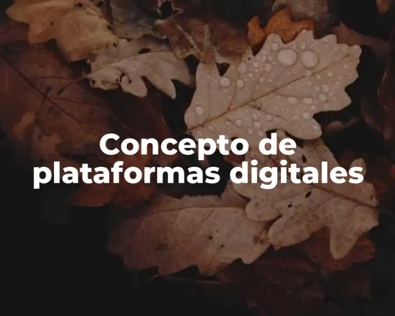 Concepto de plataformas digitales