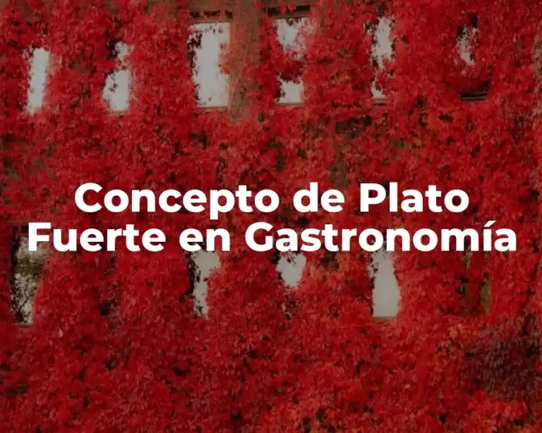 Concepto de Plato Fuerte en Gastronomía