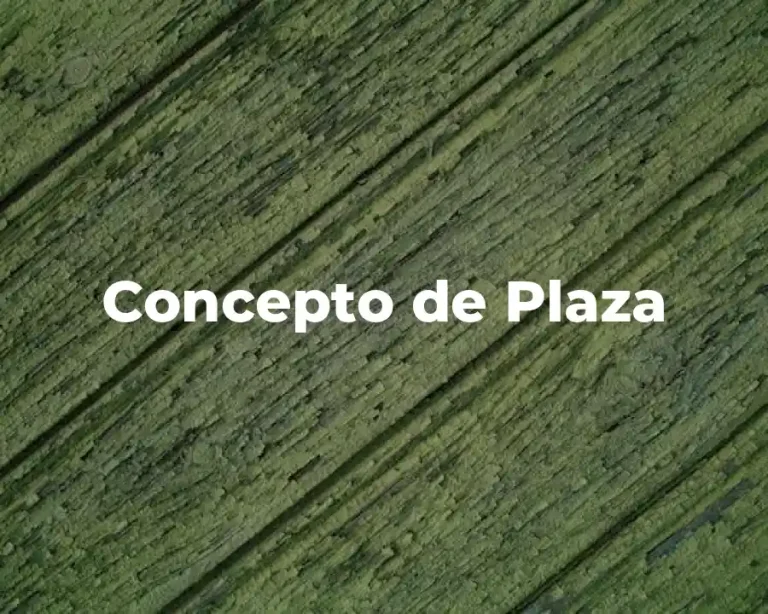 Concepto de Plaza