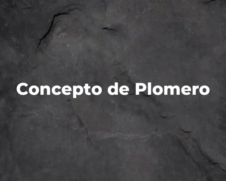 Concepto de Plomero