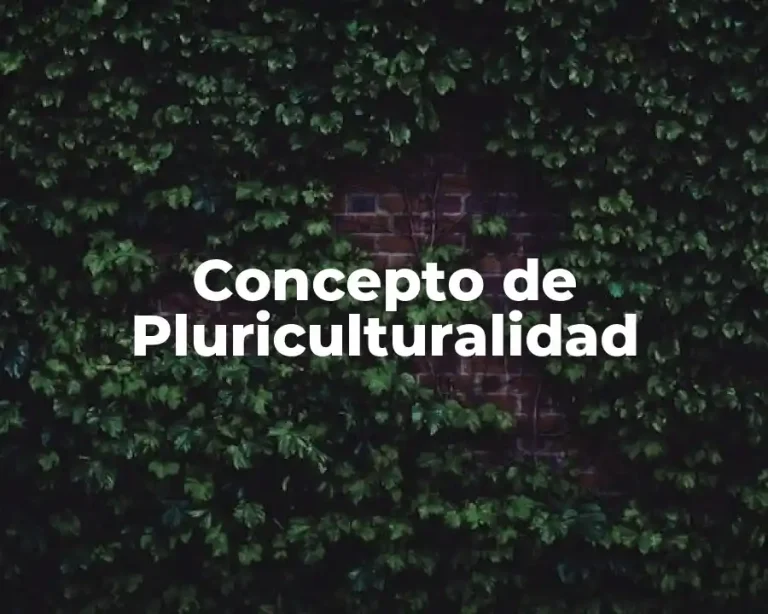 Concepto de Pluriculturalidad