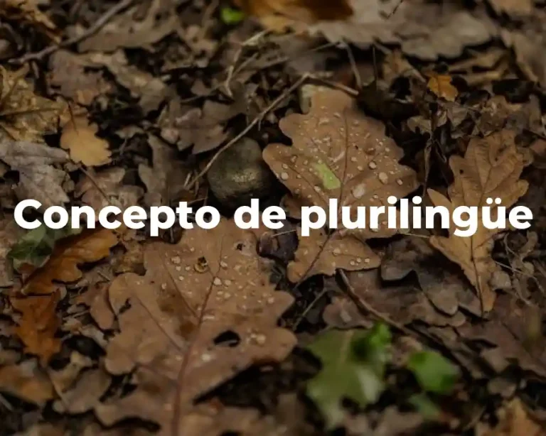 Concepto de plurilingüe