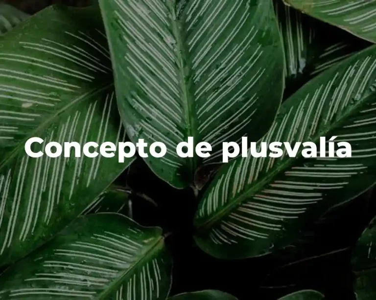 Concepto de plusvalía