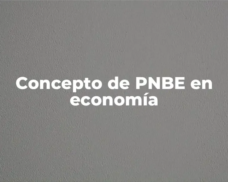 Concepto de PNBE en economía
