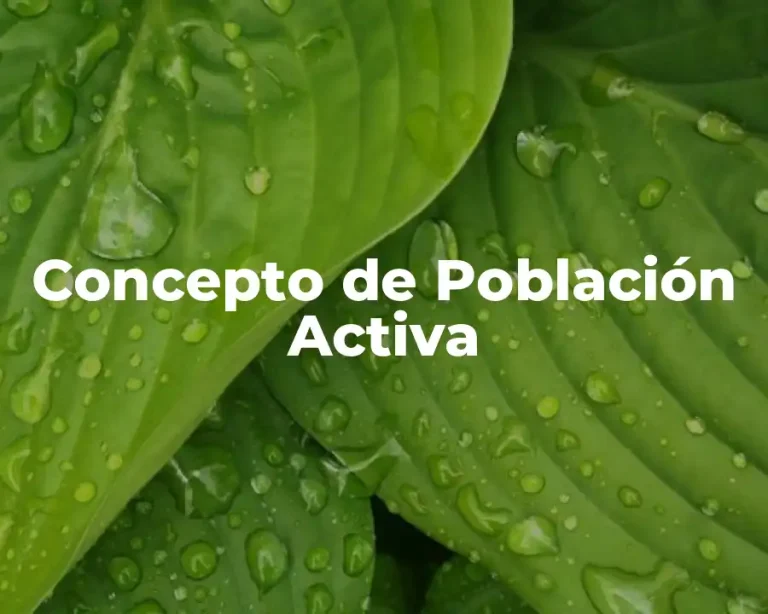 Concepto de Población Activa