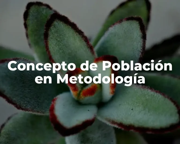 Concepto de Población en Metodología