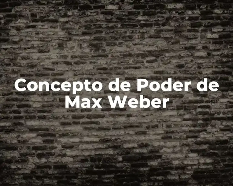 Concepto de Poder de Max Weber