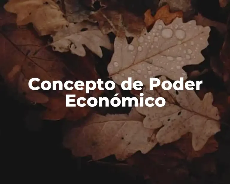 Concepto de Poder Económico