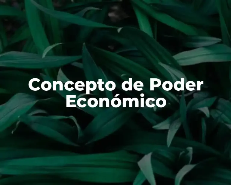 Concepto de Poder Económico