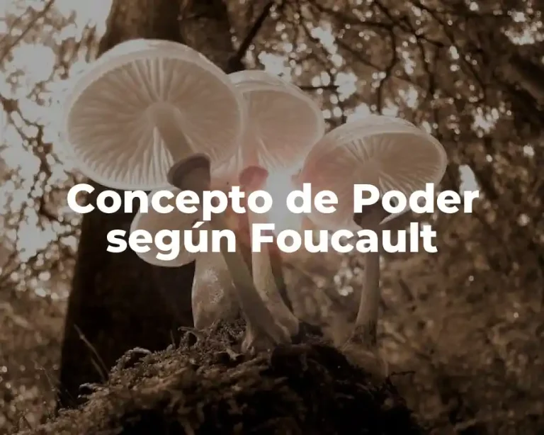 Concepto de Poder según Foucault