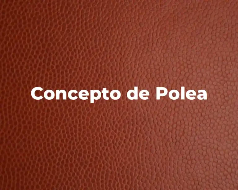 Concepto de Polea