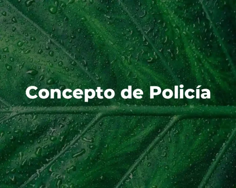 Concepto de Policía