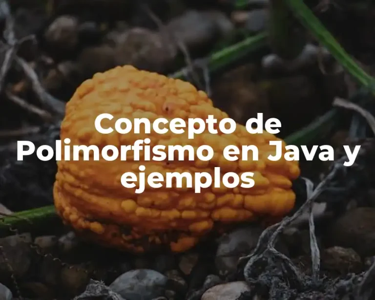 Concepto de Polimorfismo en Java y ejemplos
