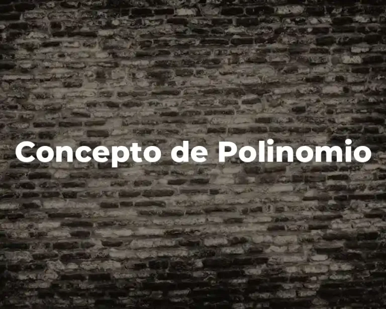 Concepto de Polinomio