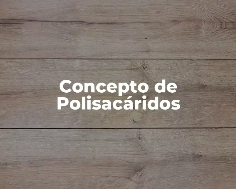 Concepto de Polisacáridos