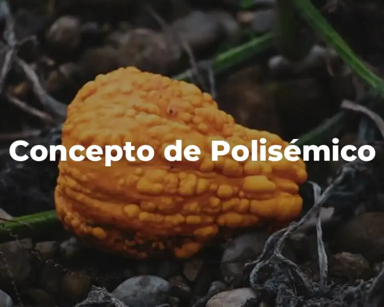 Concepto de Polisémico