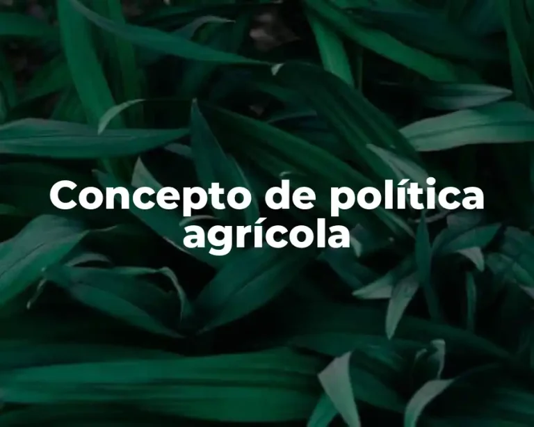 Concepto de política agrícola