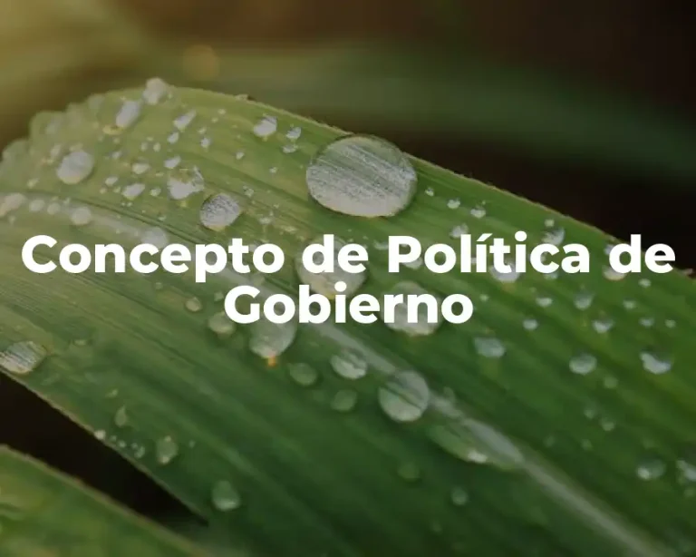 Concepto de Política de Gobierno