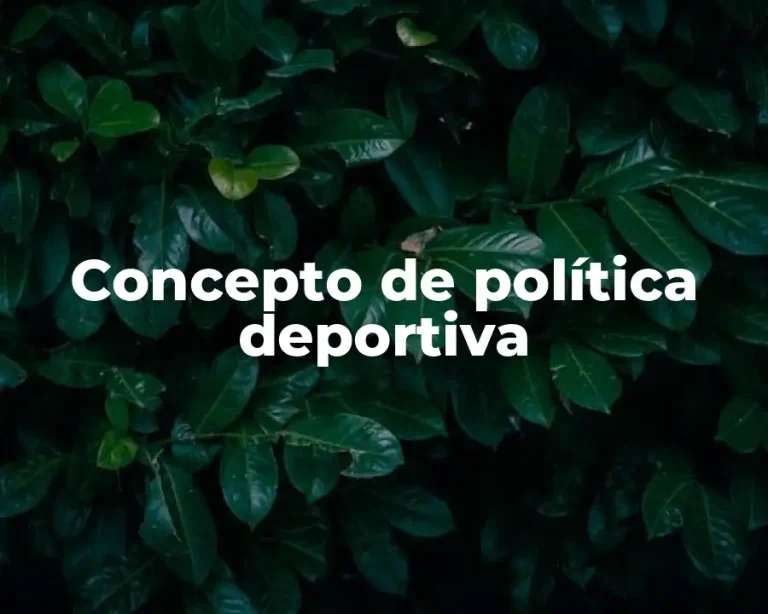 Concepto de política deportiva