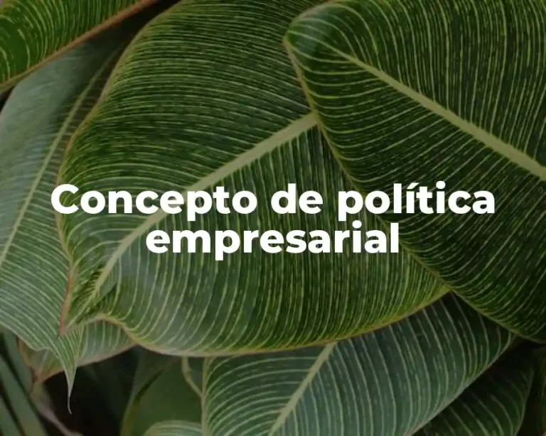 Concepto de política empresarial