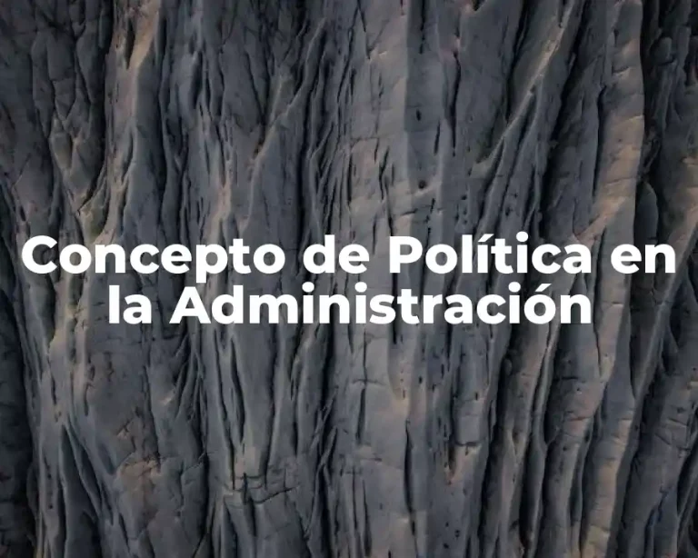 Concepto de Política en la Administración