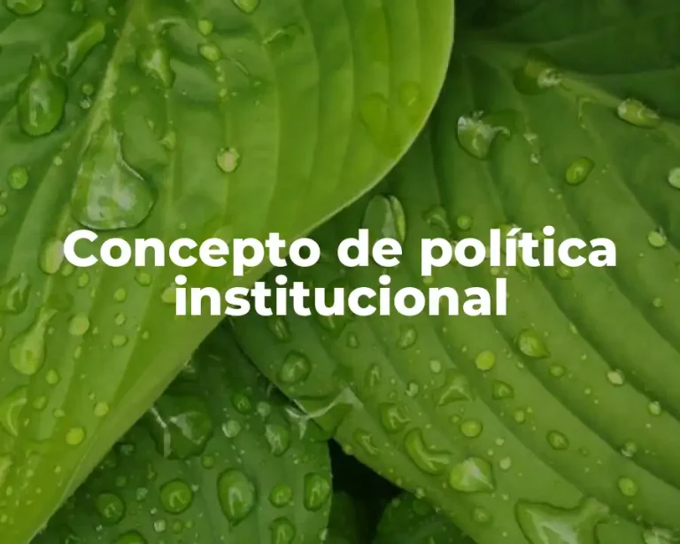 Concepto de política institucional