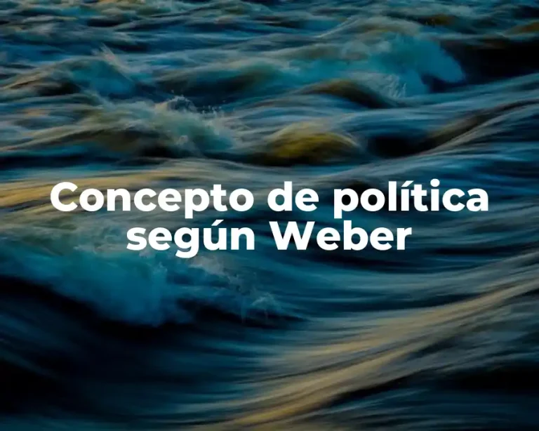 Concepto de política según Weber