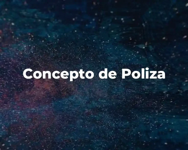 Concepto de Poliza