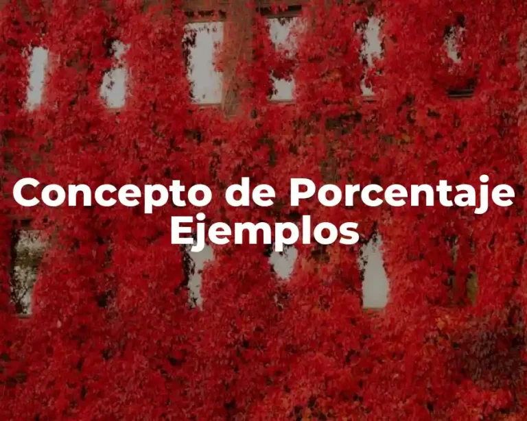 Concepto de Porcentaje Ejemplos