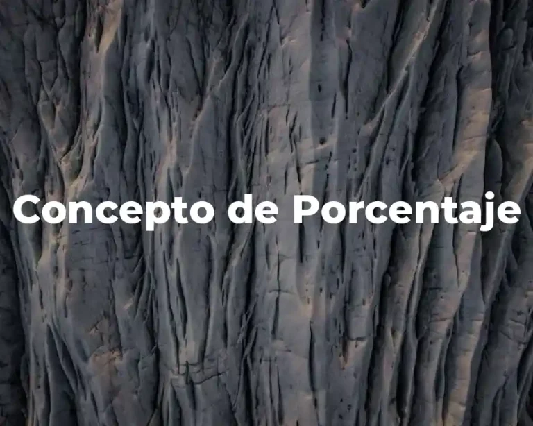 Concepto de Porcentaje