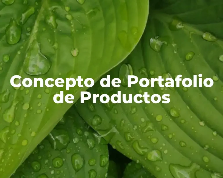 Concepto de Portafolio de Productos
