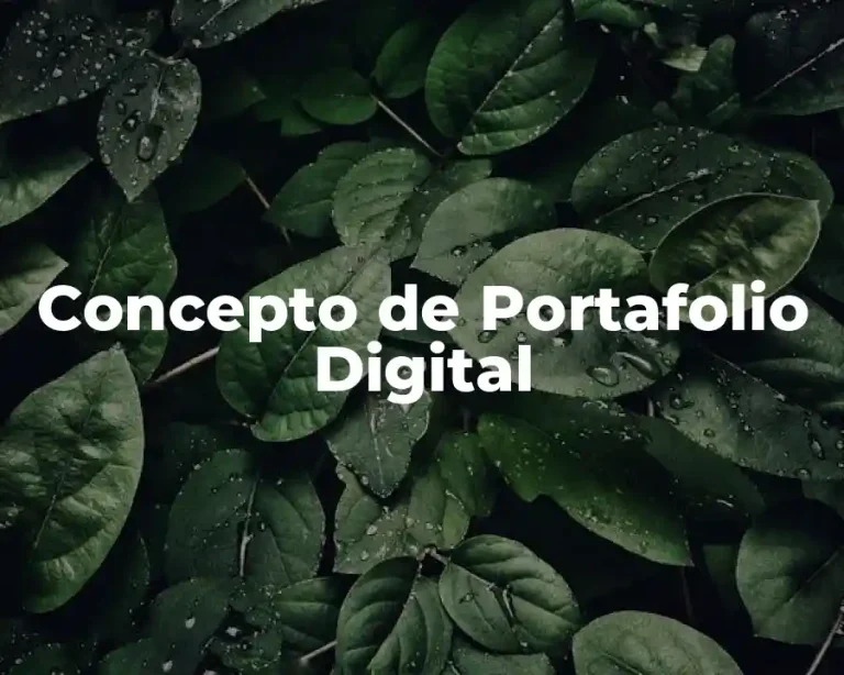Concepto de Portafolio Digital