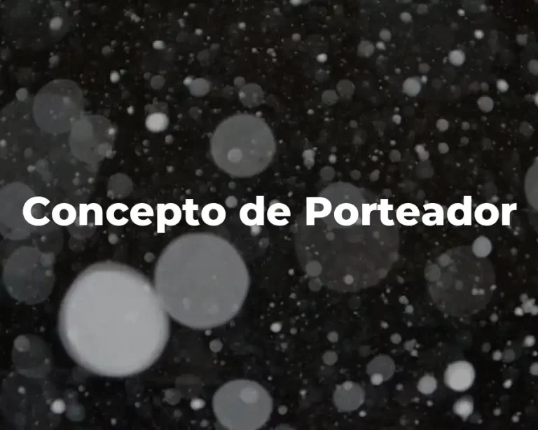 Concepto de Porteador