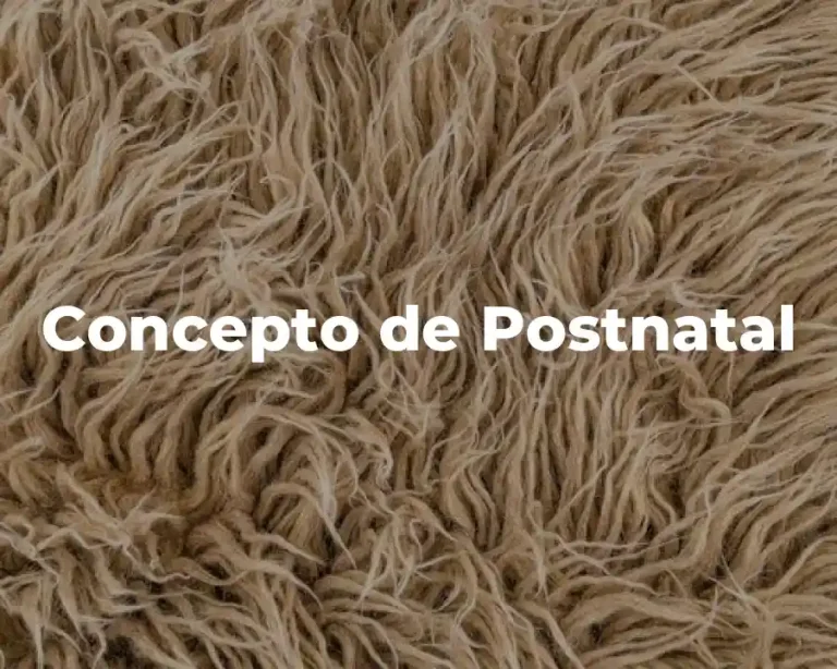Concepto de Postnatal