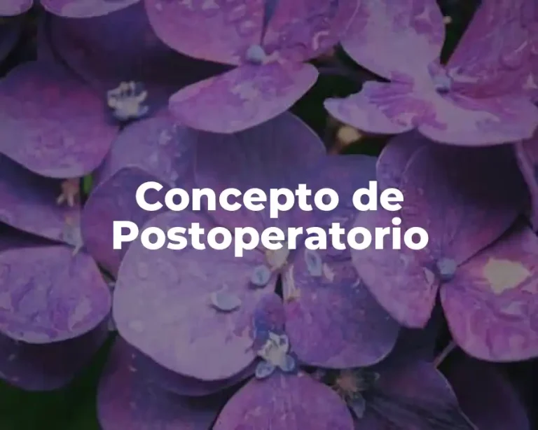 Concepto de Postoperatorio