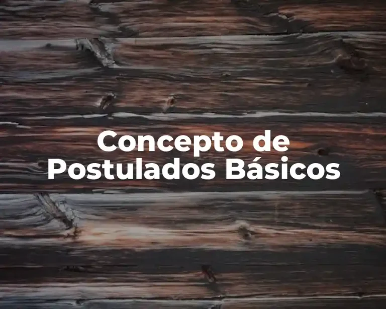 Concepto de Postulados Básicos