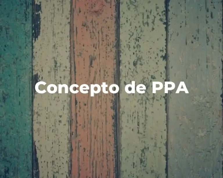 Concepto de PPA