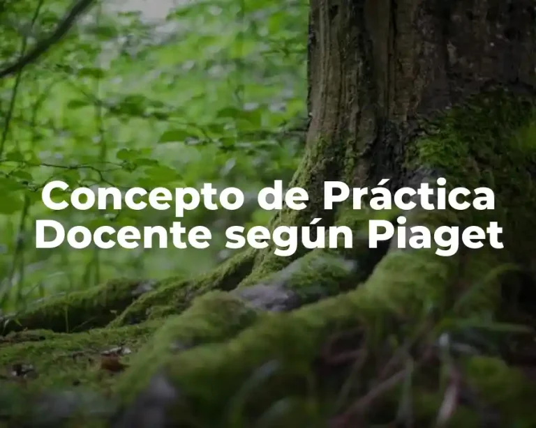 Concepto de Práctica Docente según Piaget
