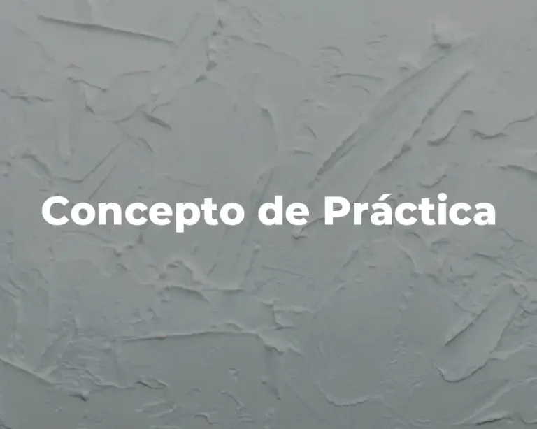 Concepto de Práctica